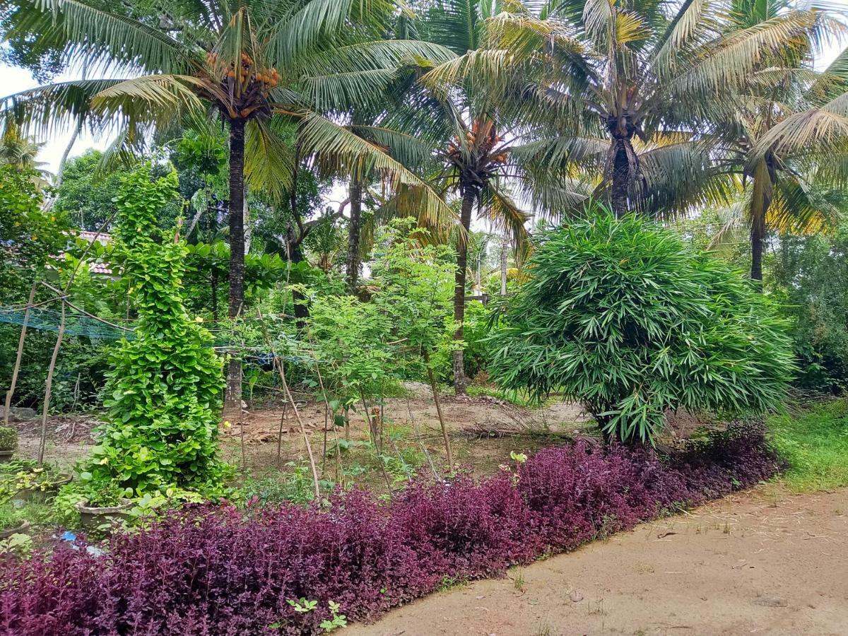 Shertallai Marari Bethsaida Homestay מראה חיצוני תמונה